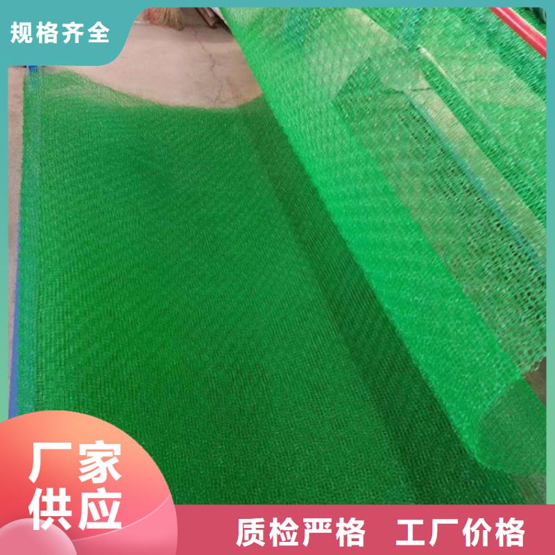 三维植被网_防草布诚信为本