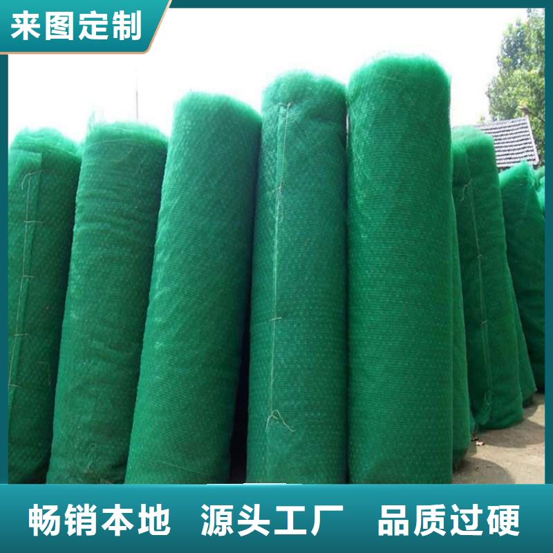 三维固土网垫批发价格查询