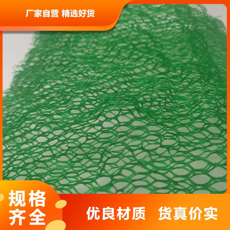 三维固土网垫批发价格查询