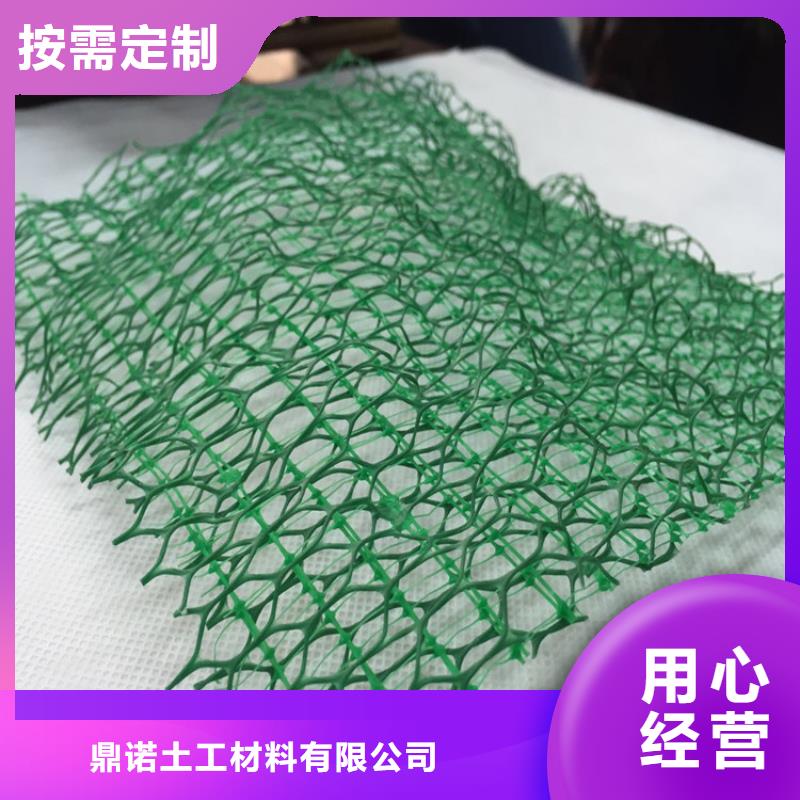 三维植被网【抗裂贴】品质不将就
