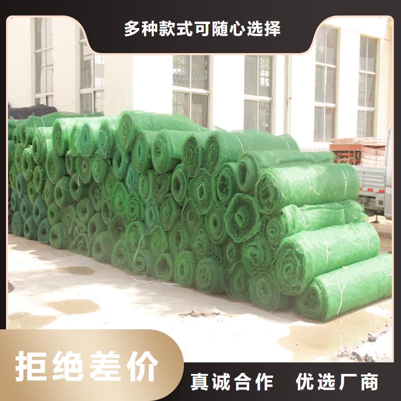 三维植被网_防草布诚信为本