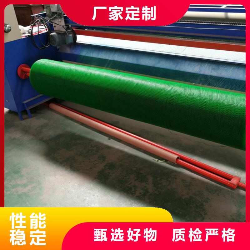 三维植被网,【防渗膜】厂家经验丰富-可发货到清丰|台前|周口|平顶山|开封|郑州