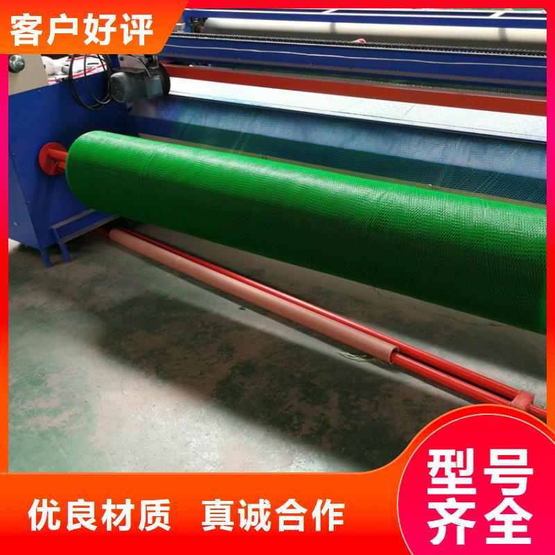 三维植被网土工膜诚信商家服务热情