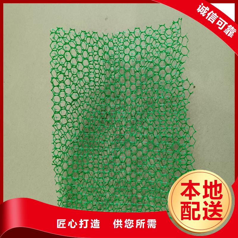 三维植被网,【防渗膜】厂家经验丰富-可发货到清丰|台前|周口|平顶山|开封|郑州