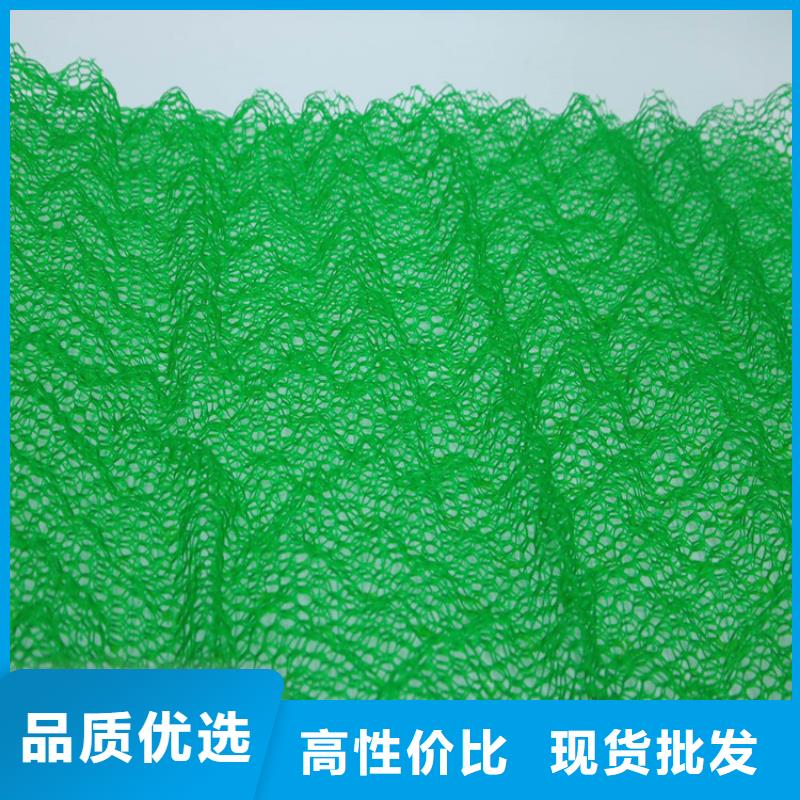 三维植被网防裂贴拥有核心技术优势