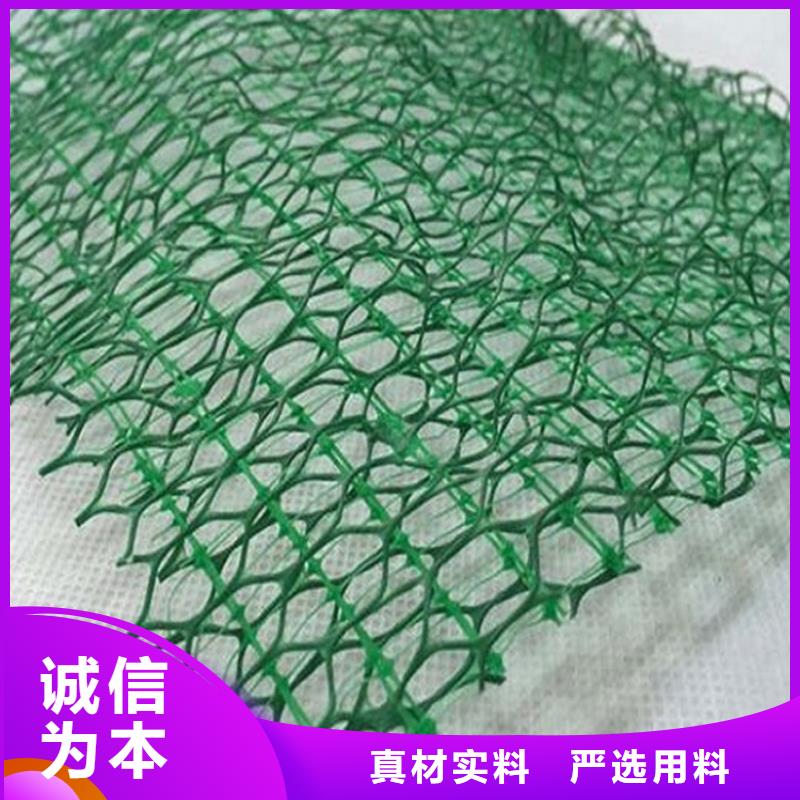 三维植被网【抗裂贴】品质不将就