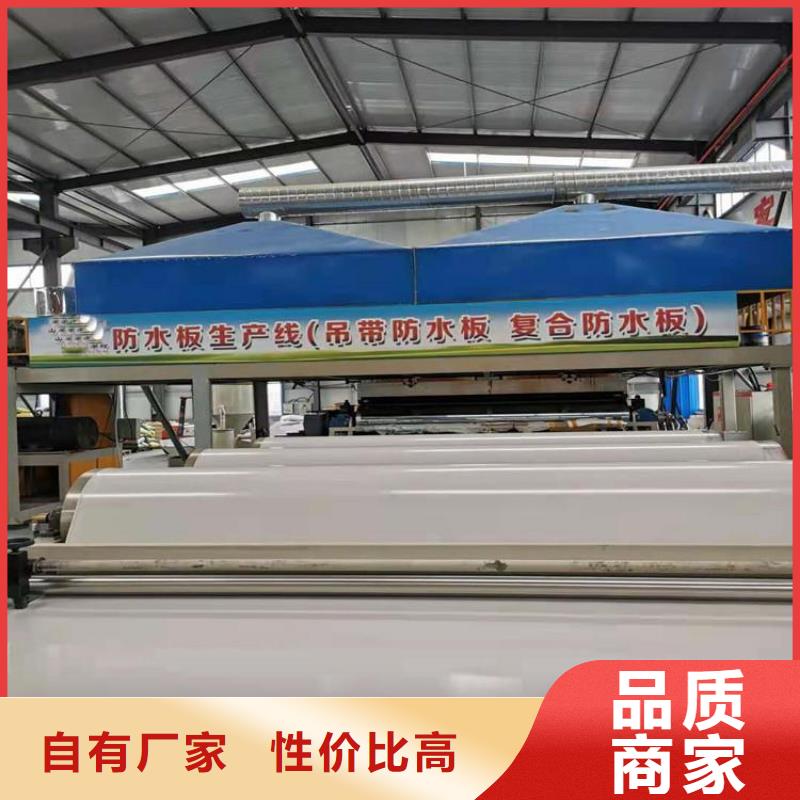 防水板防渗膜有实力有经验