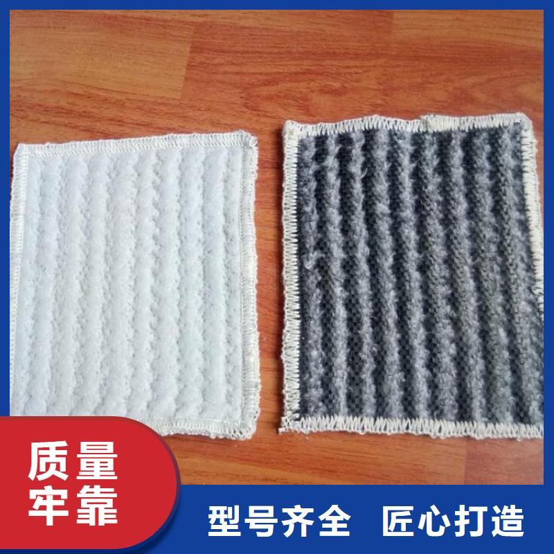 膨润土防水毯土工席专注生产制造多年