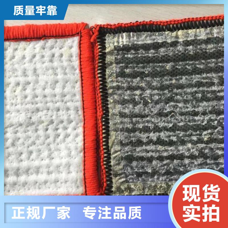 膨润土防水毯-土工格栅品类齐全