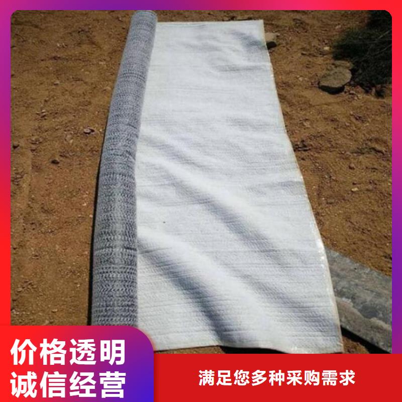 膨润土防水毯土工席专注生产制造多年