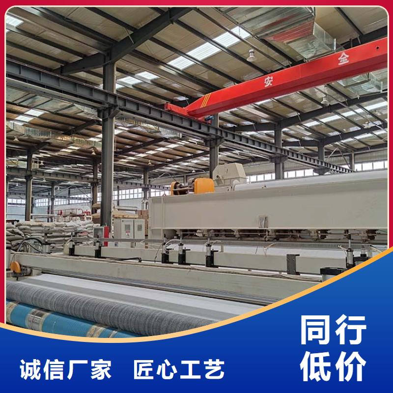 膨润土防水毯土工席专注生产制造多年