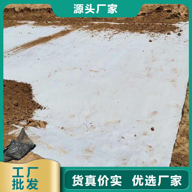 膨润土防水毯-土工格栅品类齐全