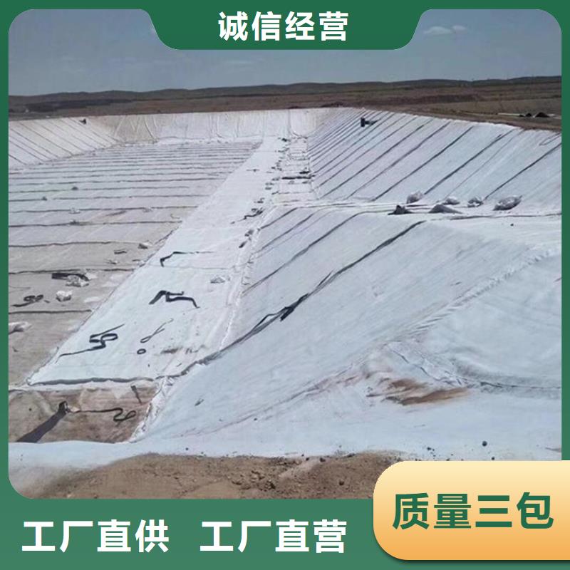 膨润土防水毯-土工格栅品类齐全