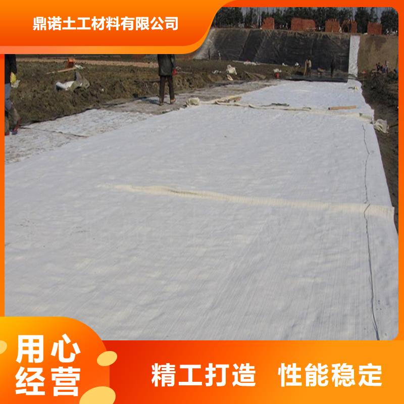 膨润土防水毯土工席专注生产制造多年