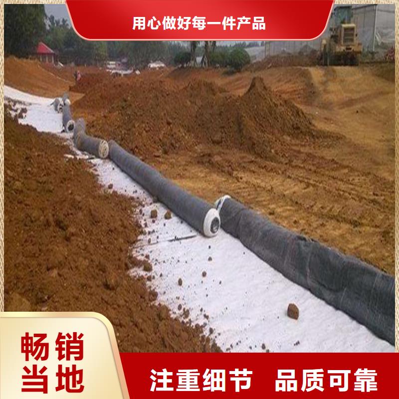 膨润土防水毯土工席专注生产制造多年