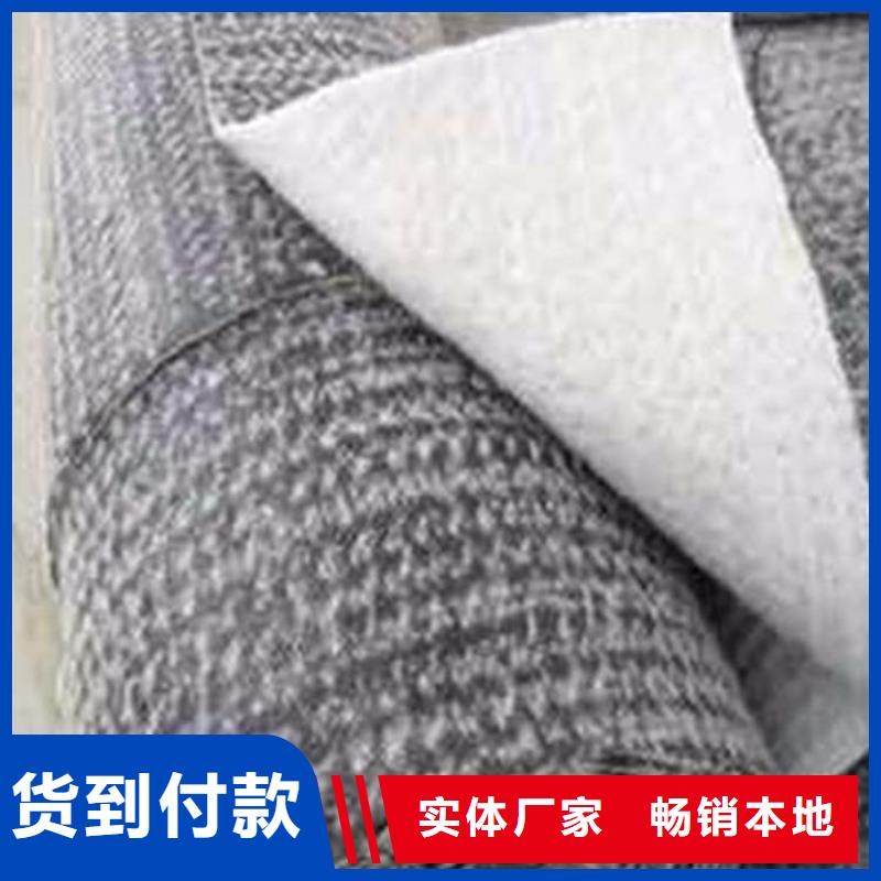 膨润土防水毯土工席专注生产制造多年