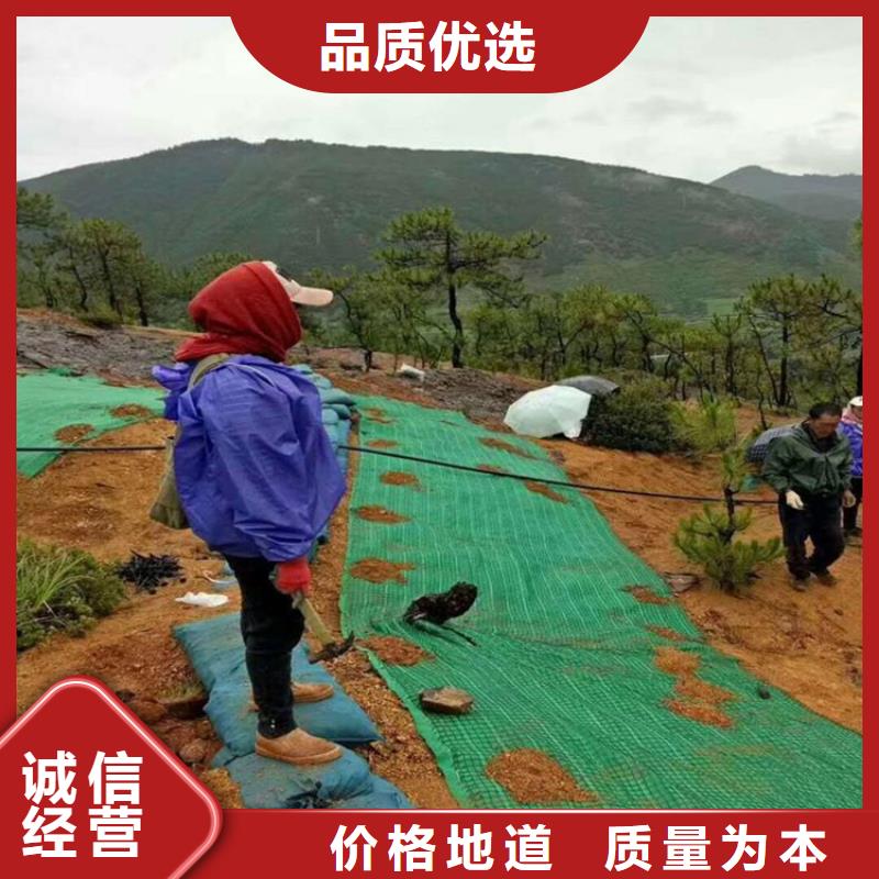 椰丝毯_HDPE土工膜以质量求生存