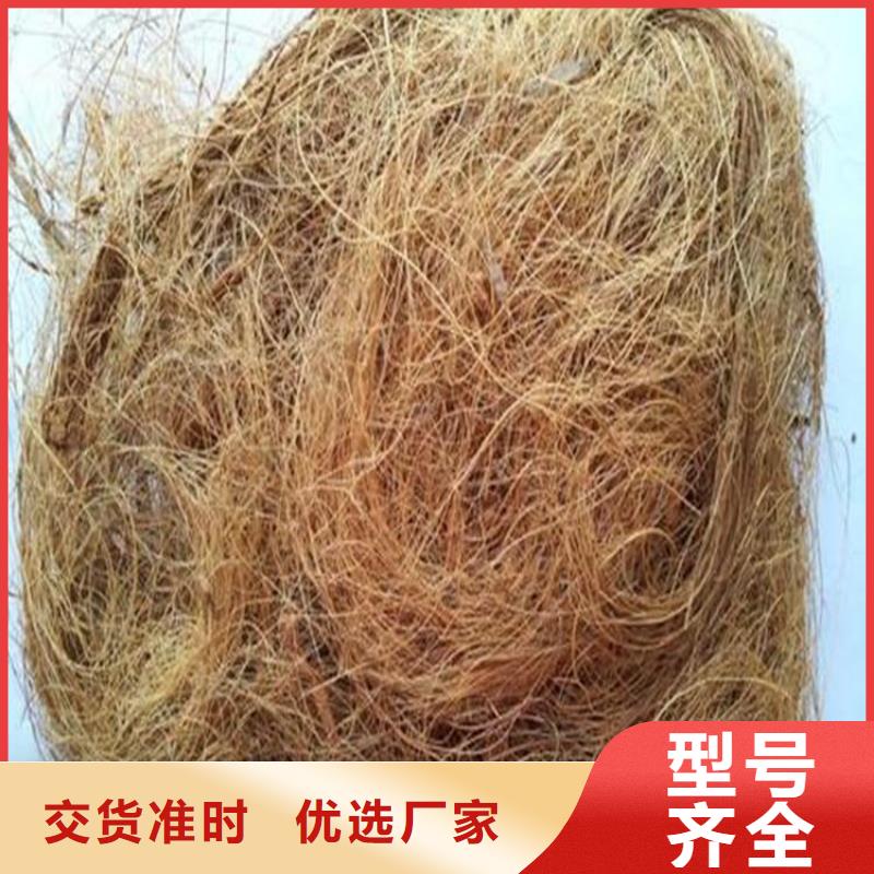 软式透水管视频-软式透水管_直辖天津市市场覆盖和平|津南|东丽|宝坻|红桥|南开|北辰等