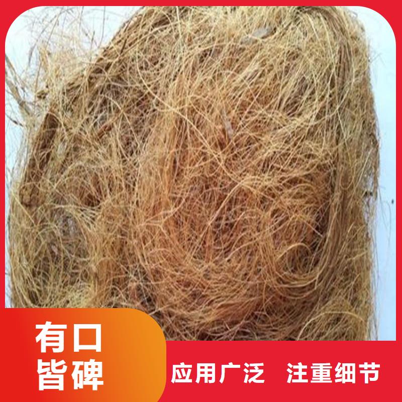 椰丝毯,【生态袋】厂家大量现货-服务区域包括大悟|孝昌|黄冈|鄂州|武汉|十堰等-产品视频