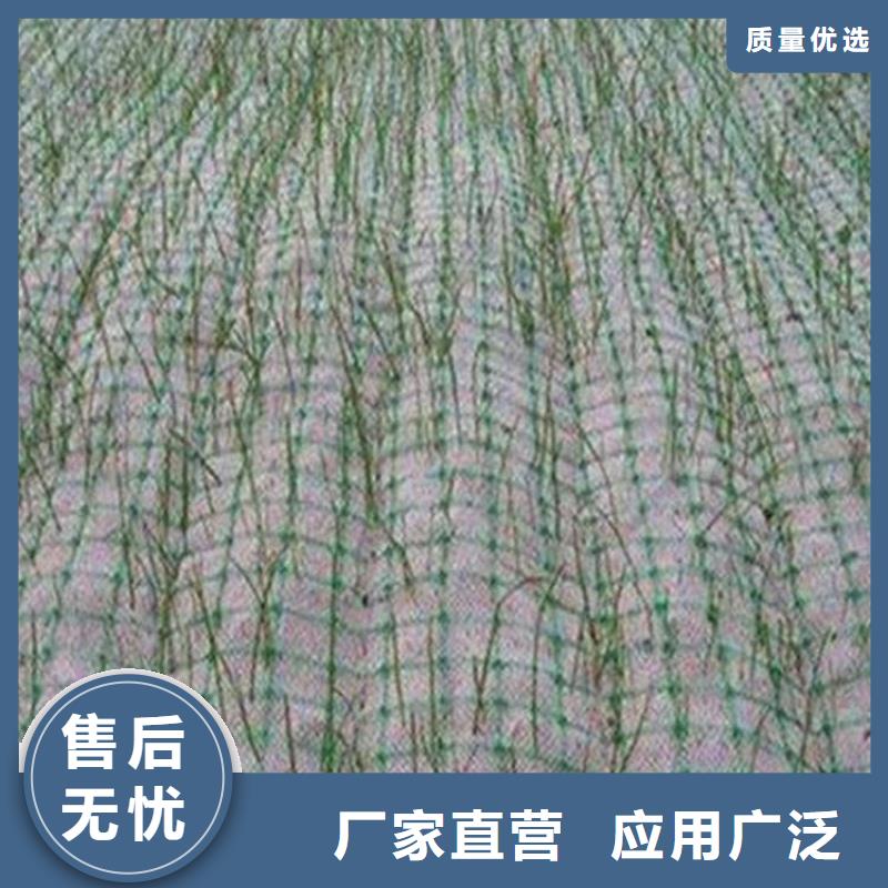 椰丝毯【水泥毯】研发生产销售