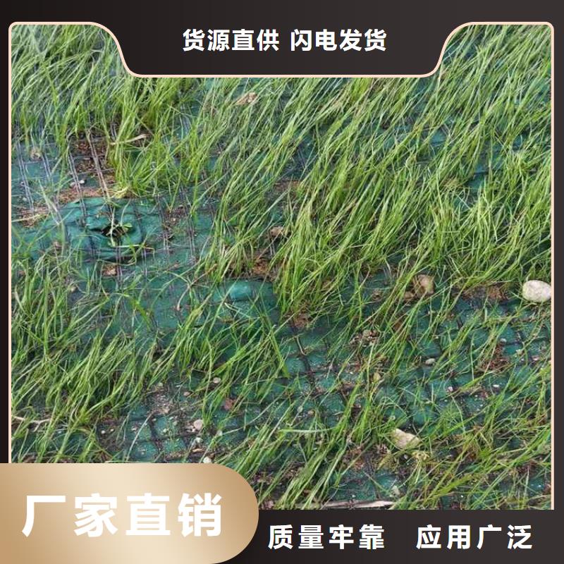 软式透水管视频-软式透水管_湖北省孝感市市场覆盖孝昌|大悟|荆州|随州|恩施|咸宁等