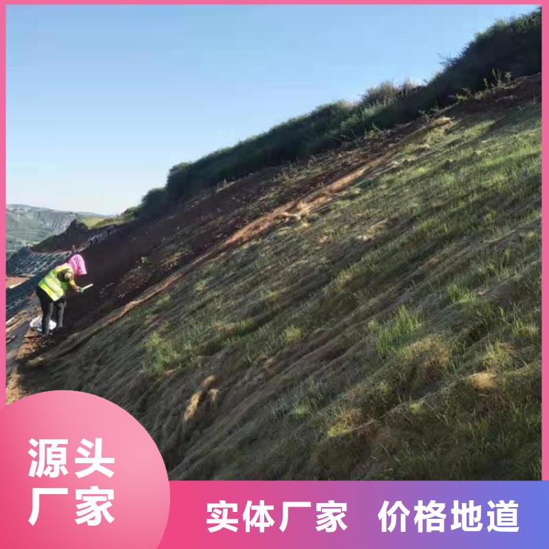 软式透水管视频-软式透水管_直辖天津市市场覆盖和平|津南|东丽|宝坻|红桥|南开|北辰等