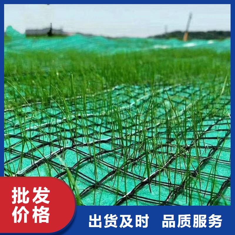 椰丝纤维毯量大可定制