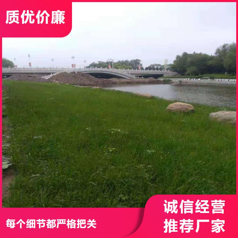 椰丝毯土工格栅规格齐全