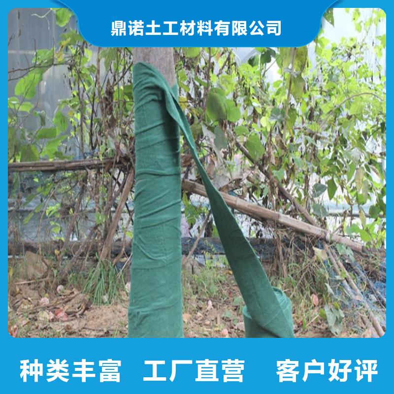 绿色裹树布