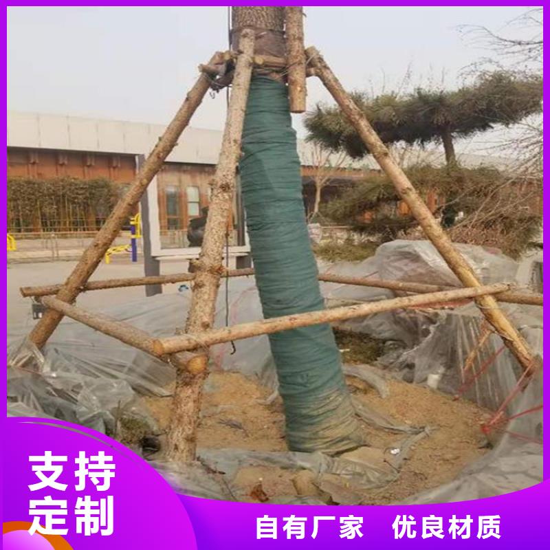 裹树布HDPE土工膜来图定制量大从优