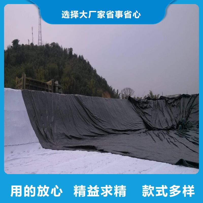 土工膜,防水毯精品选购