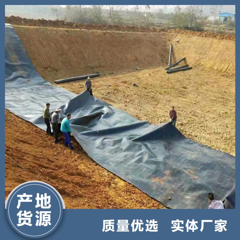 土工膜_防渗膜实力见证