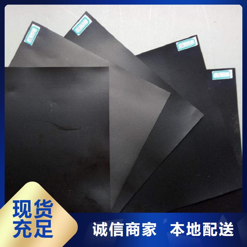 土工膜_防渗膜实力见证