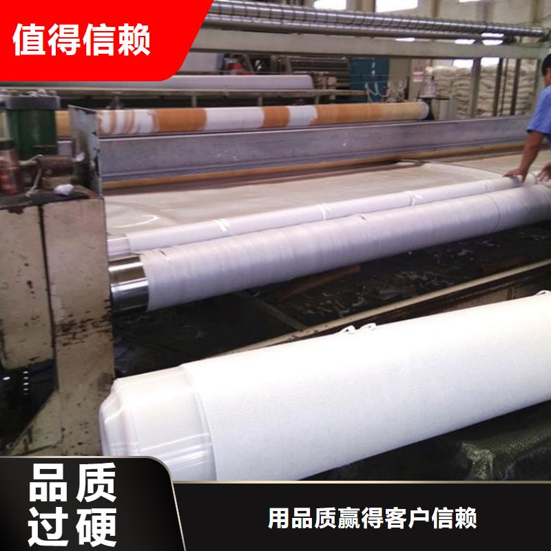 土工布【钢塑土工格栅】丰富的行业经验