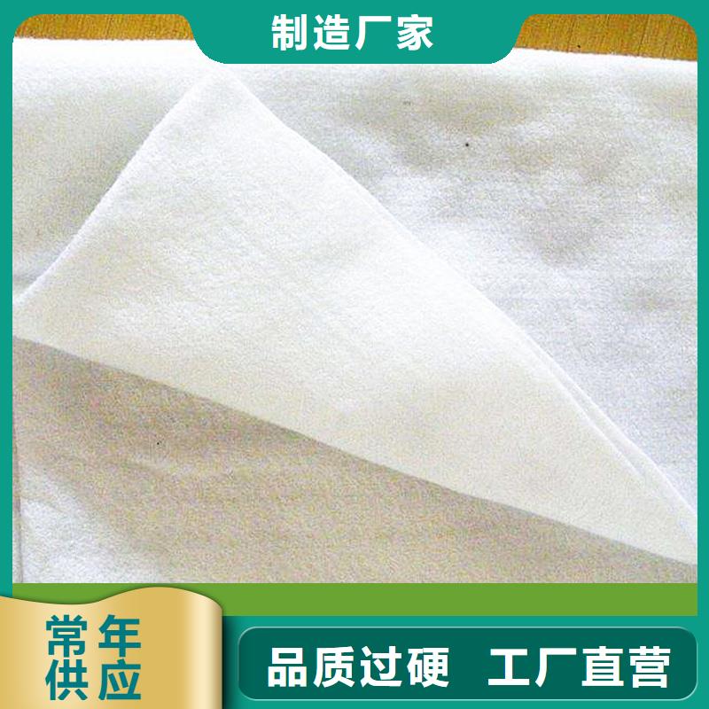土工布【钢塑土工格栅】丰富的行业经验