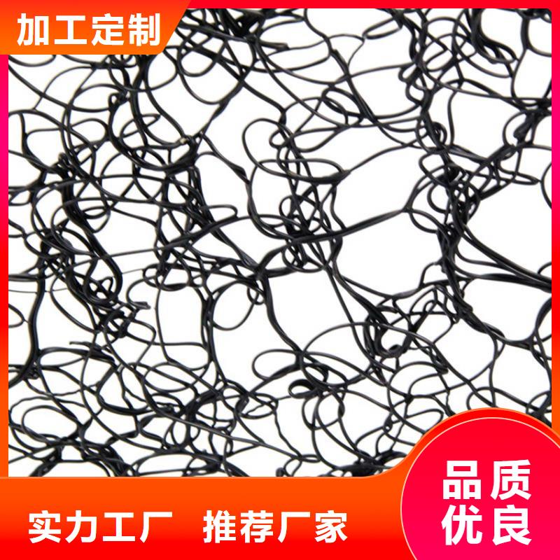 通风降噪丝网土工膜厂家实力雄厚