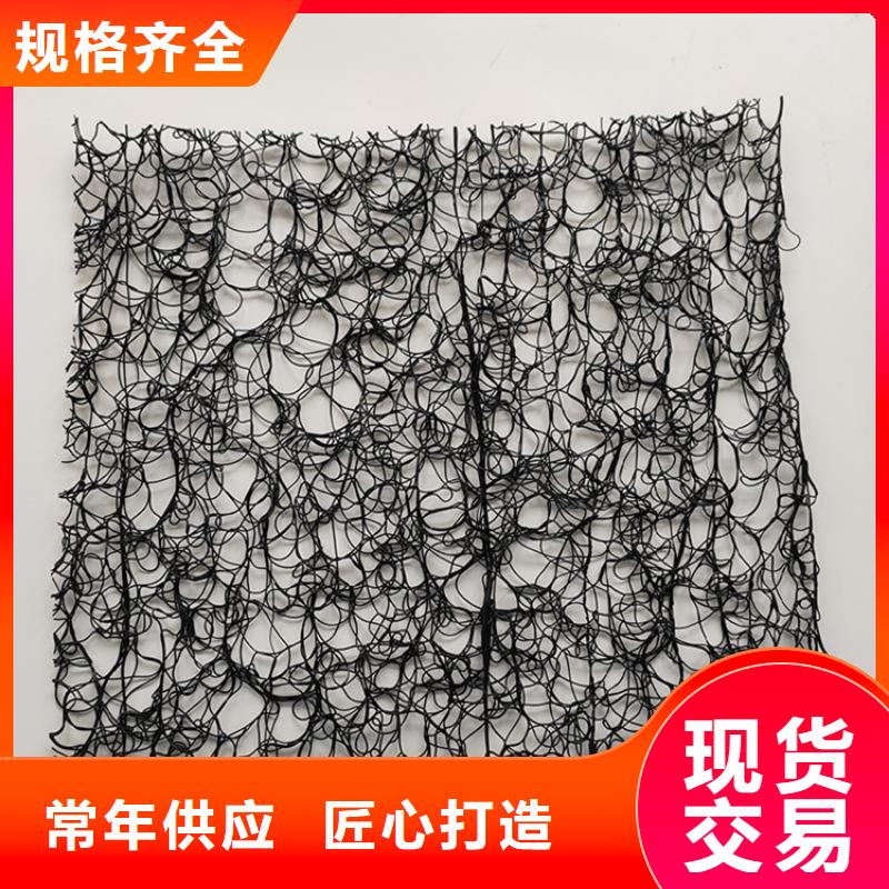 通风降噪丝网土工膜精工制作