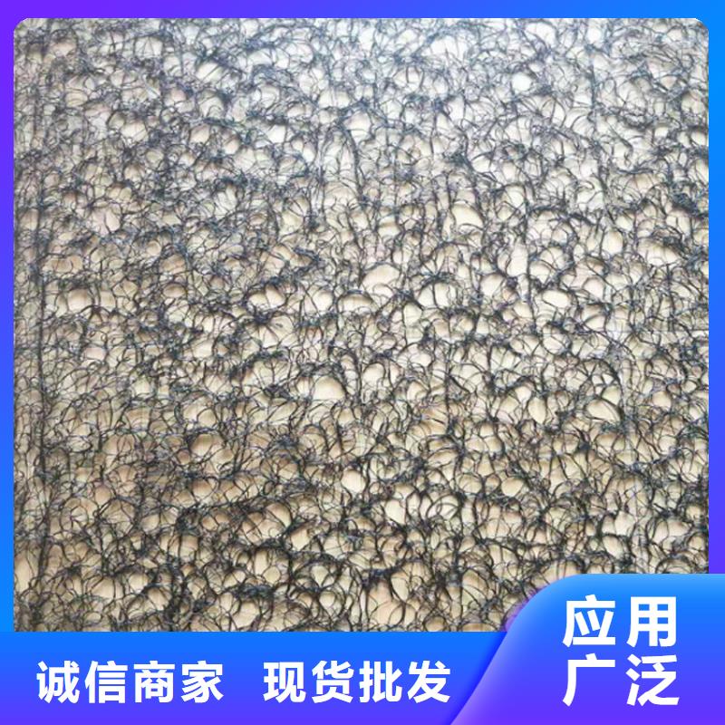 通风降噪丝网土工膜厂家实力雄厚