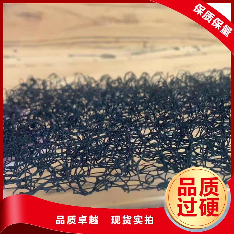 A20三维水土保护毯