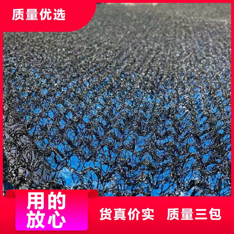 A20三维水土保护毯