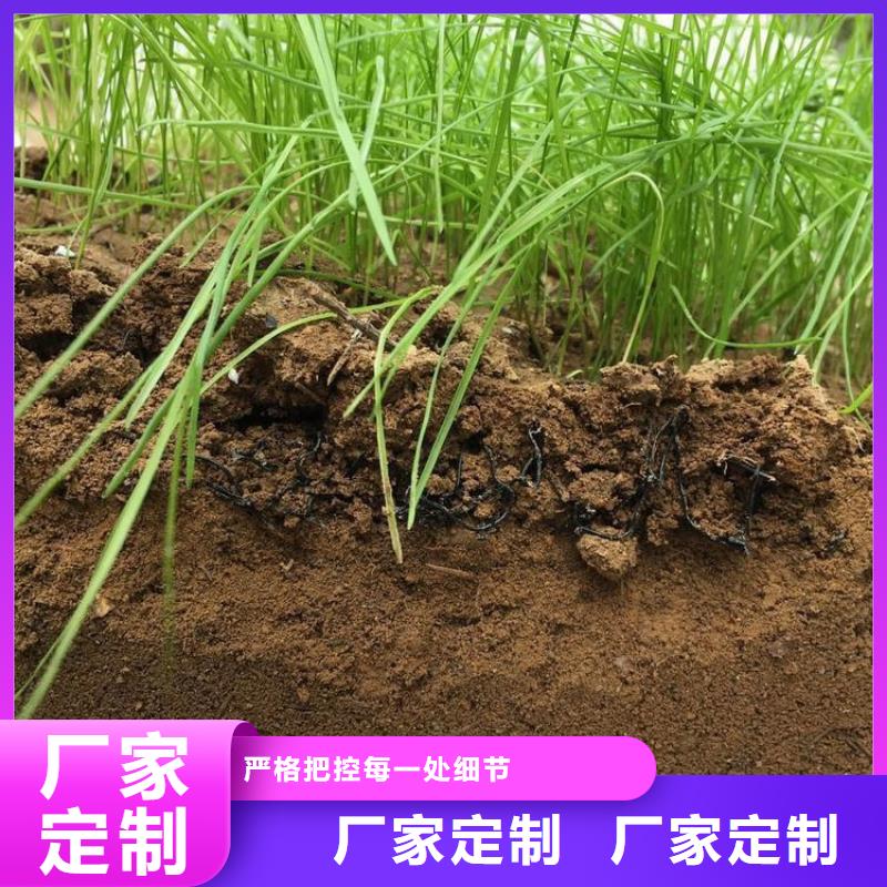 水土保护毯双向土工格栅生产加工