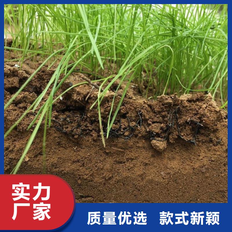 水土保护毯土工格栅匠心打造