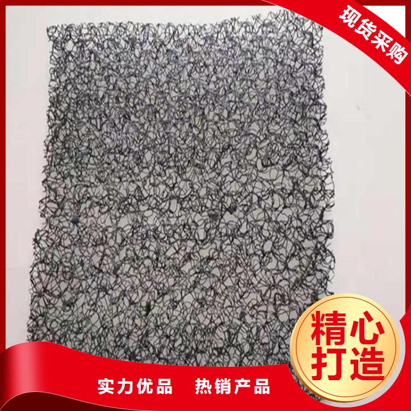 水土保护毯土工格栅匠心打造
