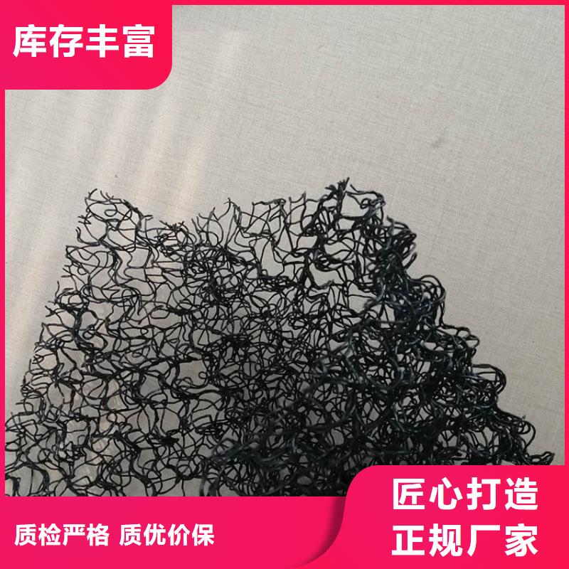 水土保护毯土工格栅匠心打造