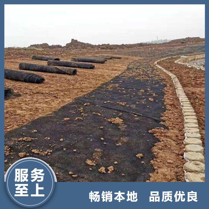 水土保护毯塑料盲沟经销商