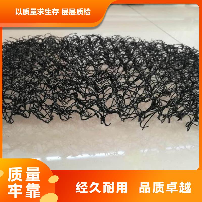 A20三维水土保护毯