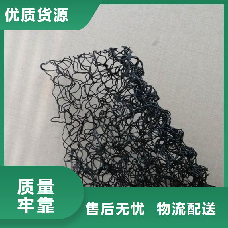 水土保护毯土工格栅匠心打造