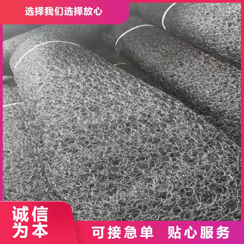 水土保护毯土工格栅匠心打造