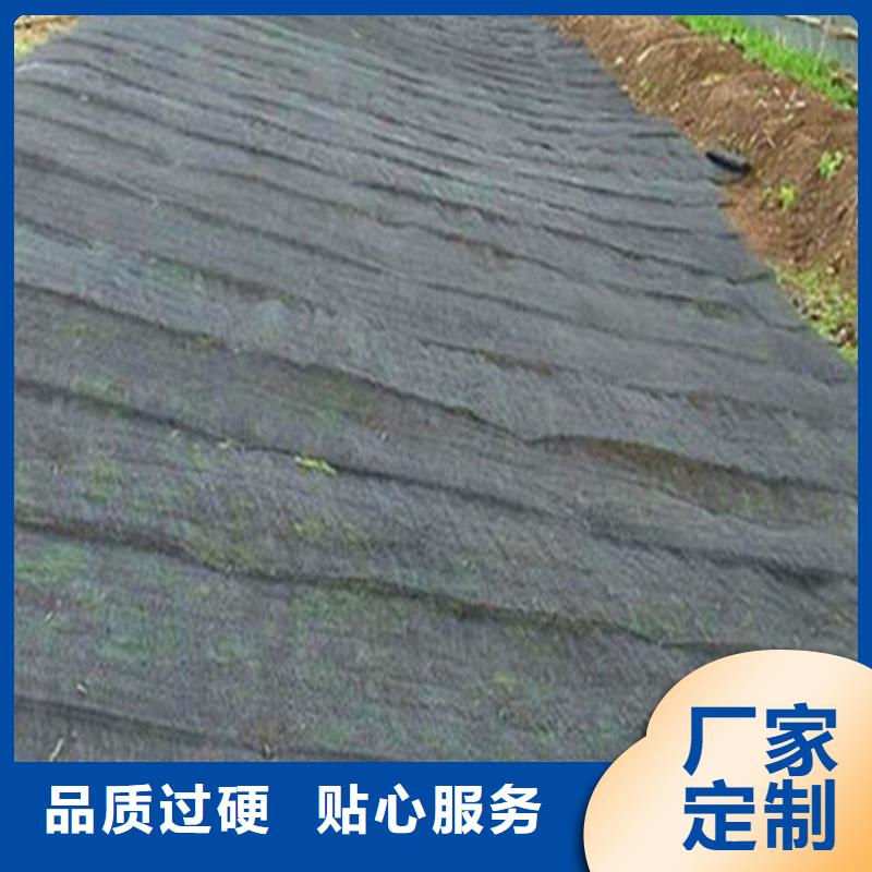 水土保护毯土工格栅匠心打造