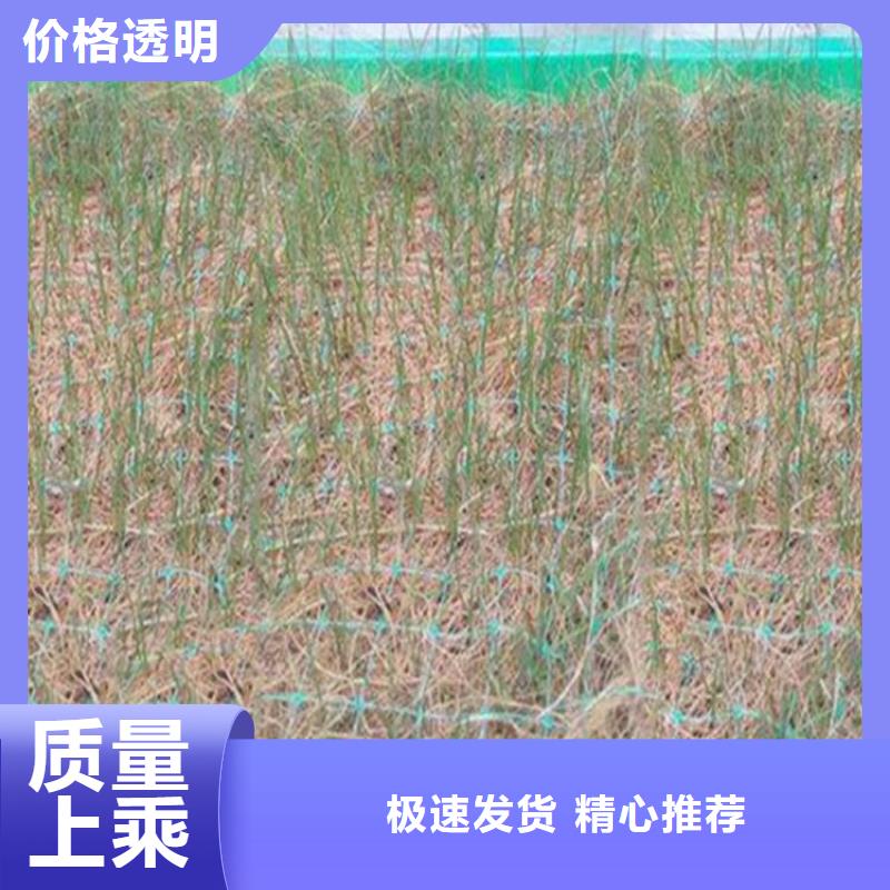 防渗膜视频-海东|海西|海北|海南|西宁中齐防渗膜_ 中齐建材(黄南市分公司)